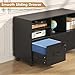 Semoic 2 Drawer Wood Lateral File Cabinet with Lock, Lockable Rolling Filing Cabinet with Adjustable Storage Shelves, Printer Stand Office Storage Cabinet for Home Office Fits Files Legal/A4, Black