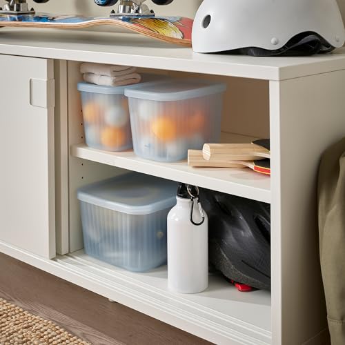 Boîte de rangement ProTuning RYKTA transparent gris-bleu 18x24