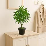 yanka-style Olivenbaum künstlich – Kunstpflanze mit Topf, ca. 65 cm hoch, Deko Pflanze aus Kunststoff, naturgetreuer Blickfang für Wohnung & Büro – Modell JWS2041