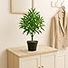 yanka-style Olivenbaum künstlich – Kunstpflanze mit Topf, ca. 65 cm hoch, Deko Pflanze aus Kunststoff, naturgetreuer Blickfang für Wohnung & Büro – Modell JWS2041