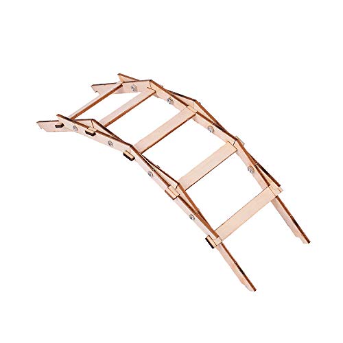 Reino do caranguejo diy crianças experimentos de tecnologia de ciência sala de aula pequenas invençõ