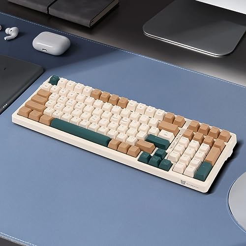 Merdia メカニカルキーボード Type-c有線接続 2.4G 100キー 独立キースイッチ RGBバックライト 英語配列 ABS材料 Mac＆Win用 オフベージュ+ブラウン+エメラルドグリーン（茶軸）