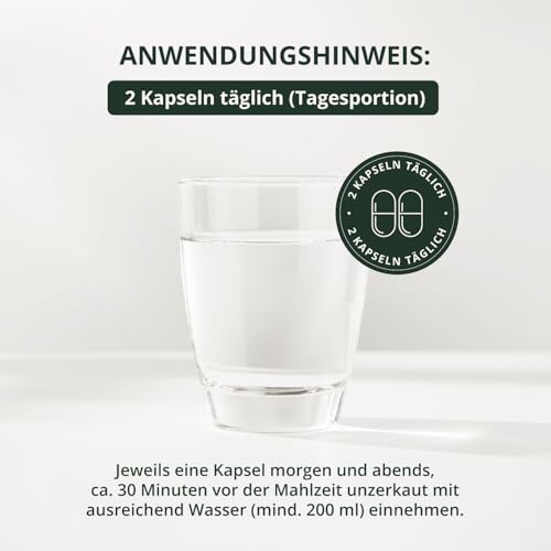 BodyFokus SynBiotik Vital Aktiv | spezielle Bakterienstämme & Präbiotika - natürliche Inhaltsstoffe - enthält Calcium - 60 Kapseln - in Deutschland hergestellt