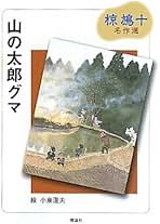 Amazon.co.jp: 小泉澄夫: 本