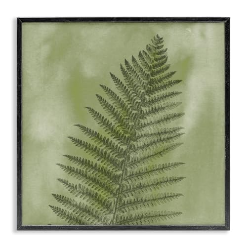 Wild Nature Fern Leaf Botanical, 17 x 17 Inch Framed Giclée Print