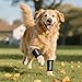 CynosCape Dog Leg Brace, Black Compression Support Wraps for Front or Rear Legs with Streching Adjustable Strap,Cat Wrist Brace- Leg Sleeve to Stop Licking - Aid in Wound Care and Recovery