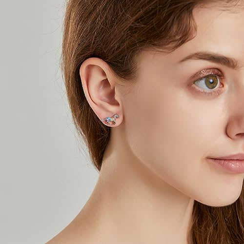 Dinosaur Horse Stud Earrings for Women,Animal Elephant Fox Butterfly Mermaid Hummingbird Penguin Earrings Jewelry3