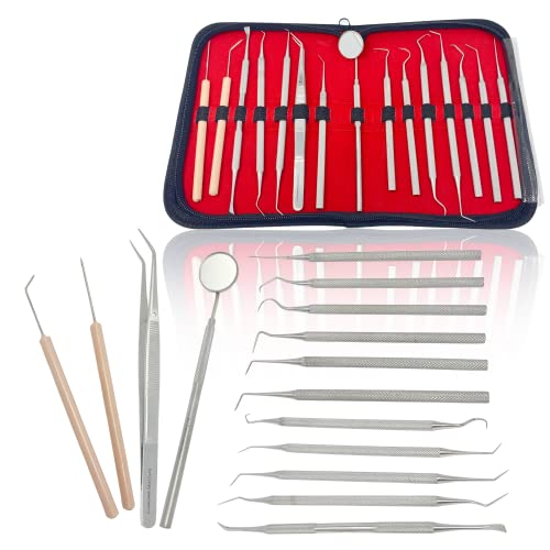 Cynamed 15-Piece Stainless Steel Micro Precision Probe Set: Straight, Single,