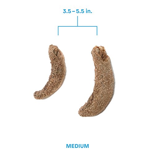 SB Organics Alaskan Red Medium - Wild Caught Sea Cucumber Dried All Natural Nutritious - 8 oz.