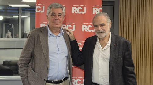 Henri Guaino, Haut fonctionnaire et homme politique