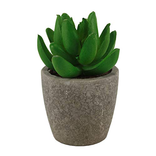 Connie N Randy Mini Cement Faux Succulent