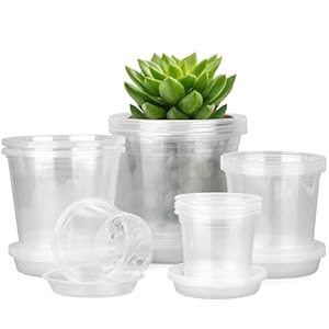 4/5/6/7 Inch Clear Nursery Pots for...