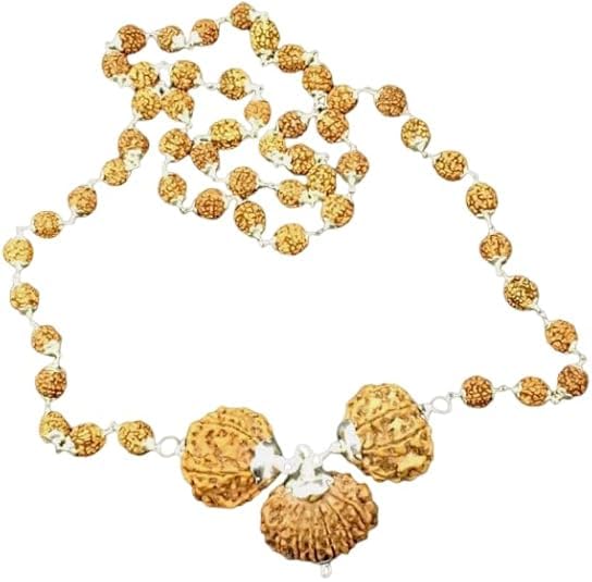 Mala Combinaison Rudraksha 6, 8, 15 Mukhi du Népal et pendentif en argent pur