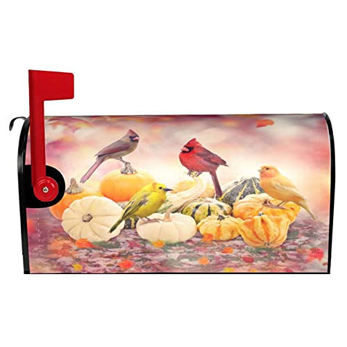 Duduho Thanksgiving Pumpkins Cardinal Birds Mailbox Cover Magnetic Autumn Harvest Seasonal Mailbox Wraps Post Box Cover Décor 25.5x21 in - Thumbnail 2