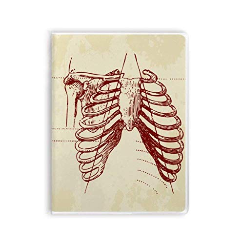 Carnet squelette pleural humain : idée cadeau originale pour médecin