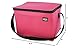 Ensign Peak Basic 6-can Insulated Cooler with Leak Proof Lining (Fuchsia)