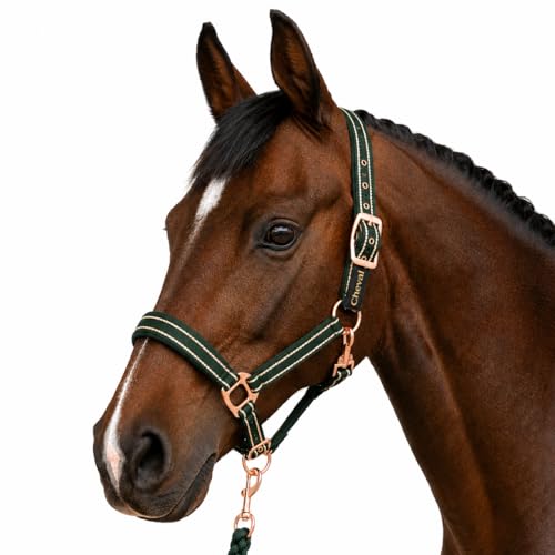 Halfter für Pferde mit Glitzer in Rosegold Halfter Pferd in schwarz und pink 2-Fach verstellbar (Grün Rosegold Pony)