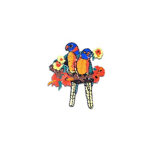 pappagallo pirati Animali - Toppe termoadesive Patch Toppa ricamate, misura: 5 x 6,1 cm