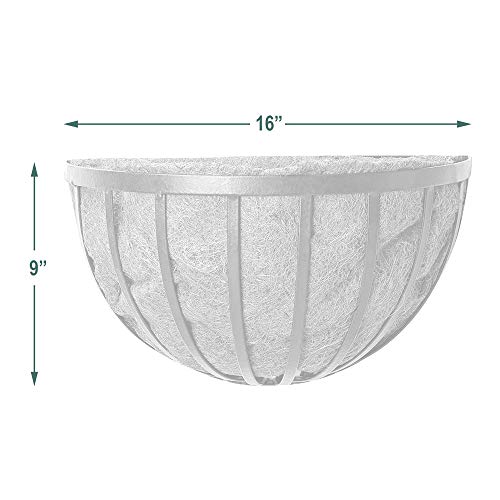 Arcadia Garden Products 1527 Arcadia Solstice Series Wall Manger Planter, 16-Inch #TOP4