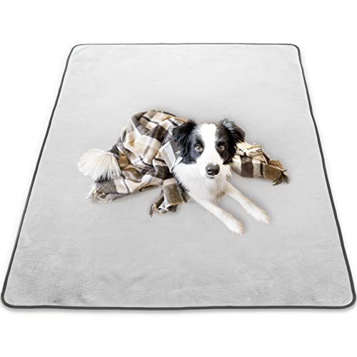 INULABO(イヌラボ) 洗える ペットシーツ 特大 おしっこマット 防水 床保護 ペットマット 丸ごと洗える 【わんこが思いっきり遊べる】 (165×122cm(1枚), シルバーホワイト)