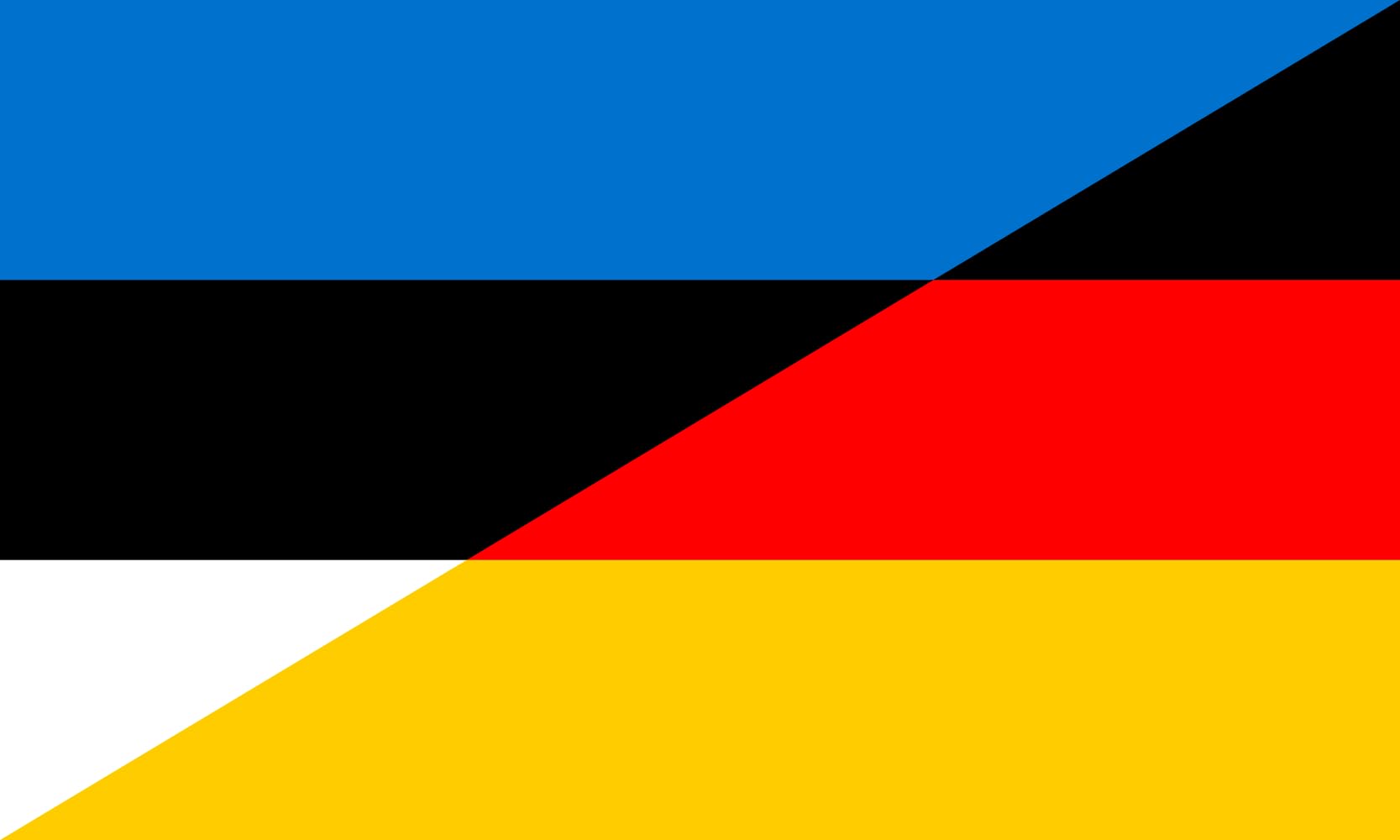Drapeau Estonie Allemagne grand format bicolore pour événement