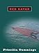 Red Kayak
