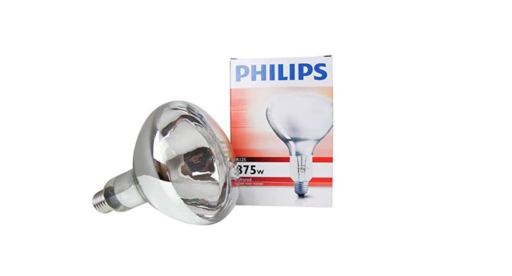 Buy PHILIPS R125 IR 375Watts E27 Incandescent White Heating Lamp Bulb Hard Glass Explosion