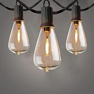 ZOTOYI Outdoor String Lights Mains Powered, 100Ft ST38 Garden String Lights with 50+2Pcs LED Filaments Vintage Bulbs, Waterproof IP65 2700K Warm White for Patio Outside Party Wedding Backyard Terrace