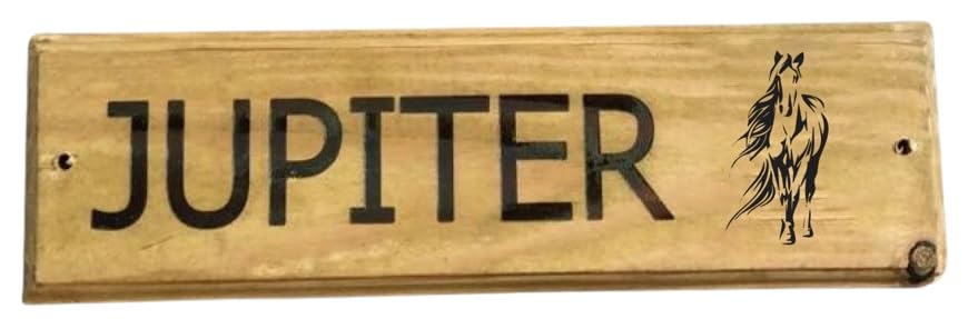 Furever Gifts Handmade Personalised Wooden Horse Stable Door Sign Various Designs 320mm x 100mm x 20mm (Horses Head 4 Tahoma Font) โ image 1