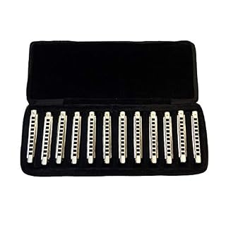 East Top Lot de 12 Harmonica Diatonic Blues Professionnel 10 trous, Harmonica Blues Professionnel 12 touches T008 pour… - Les Beatles, Paul McCartney, John Lennon, RIngo Starr, George Harrison
