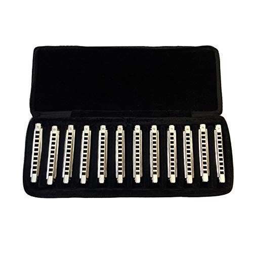 East top Diatonic Blues Harmonica Set of 12, 10 Holes Professional Diatonic Blues Mouth Organ Set, 12 Keys of Professional Blues T008 Harmonicas for Adults