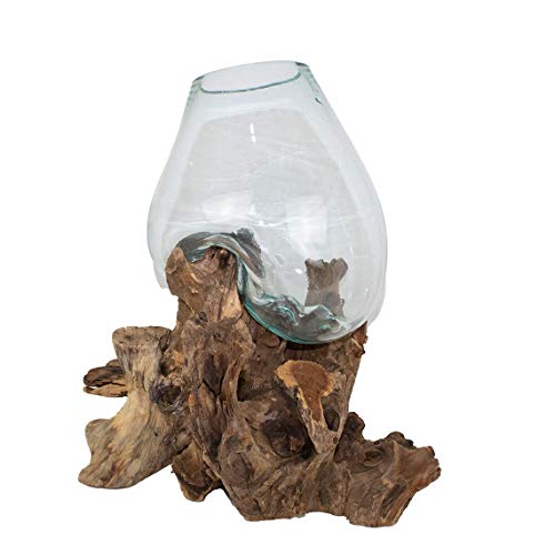 Beho Natürlich gut in Holz Glas XL auf Teak 2827 tolle Geschenkidee Durchmesser ca. 20-23 cm Höhe 30-40 cm Wurzelholz mundgeblasen Cover