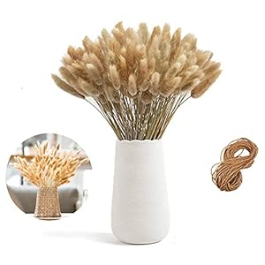 Gedroogd pampasgras, droogbloemen bodemvaas, natuurlijk pampasgras bloemenboeket, droogbloemen bloemenboeket decoratie…