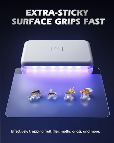 Image of LFSYS Fruit Fly Traps for Indoors (1 Device+10 Refills) Plug in Fly Trap for Gnats, Fruit Flies, Flying Insects Sleek Design Indoor Safe