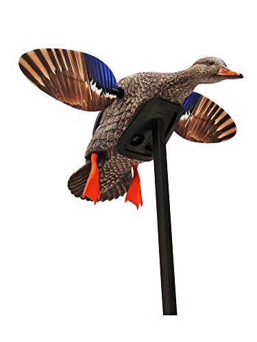 Mojo Outdoors The Best Amazon Price In Savemoney Es