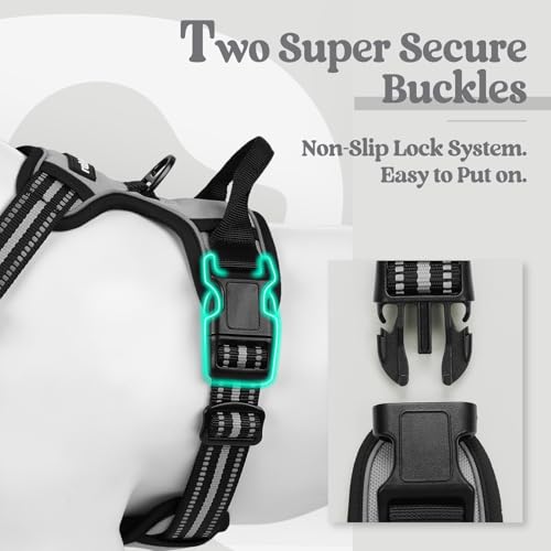 Image of rabbitgoo Dog Harness No Pull with 2 Leash Clips, Adjustable Soft Padded, Reflective Oxford No Choke Pet Vest with Easy Control Handle for Large Dogs, Grey, XL