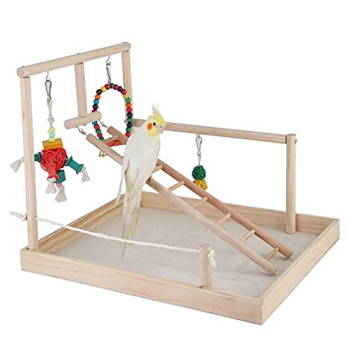 バードケージ オウムラック 木製 トレーニング バードラック ムクドリ Xuanfeng スモールサンバードケージ 鳥ラック おもちゃのはしご付き エンターテイメントプレイス フィンチケージ
