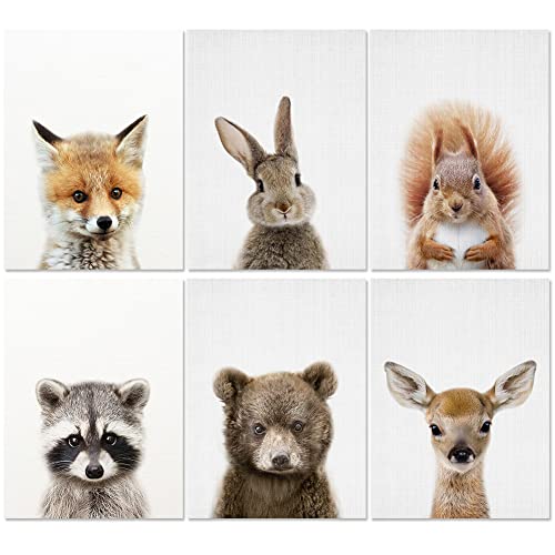 SWZY 6 Teiliges Set Tiere des Waldes Poster, Poster Set für Kinder, Poster Kinderzimmer Deko, Bilder Kinderzimmer Deko, Grau Poster Set, Poster Babyzimmer Cover