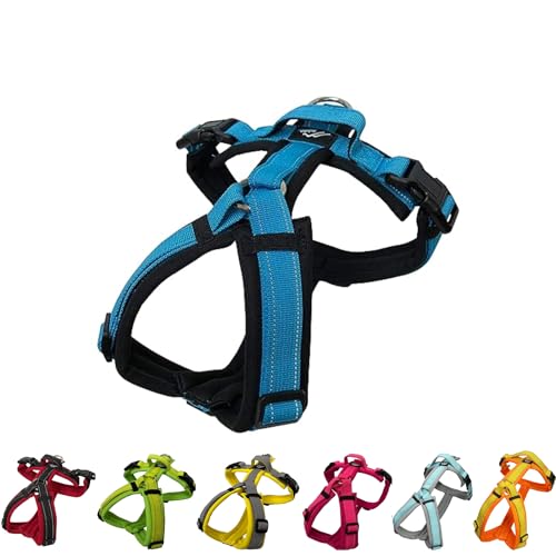 Hakusan Zero Harness (XS, Black x Turquoise)
