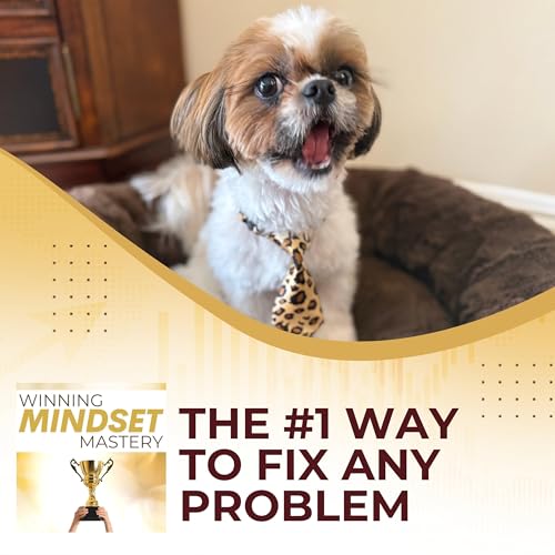The #1 Way To Fix ANY Problem Podcast Por arte de portada