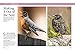 Birds & Blooms Birds in Every Season: Cherish the Feathered Flyers in Your Yard All Year Long (Birds & Blooms Guide)