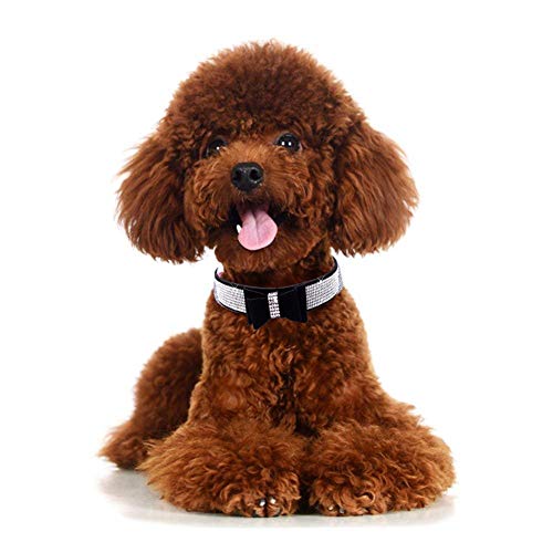 Collar de perro pequeño Serijoars negro con cristales de colores para gato 4