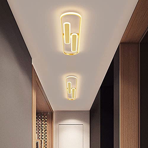 Lámparas de araña luz LED moderna techo 40cm comedor sala de estar 2