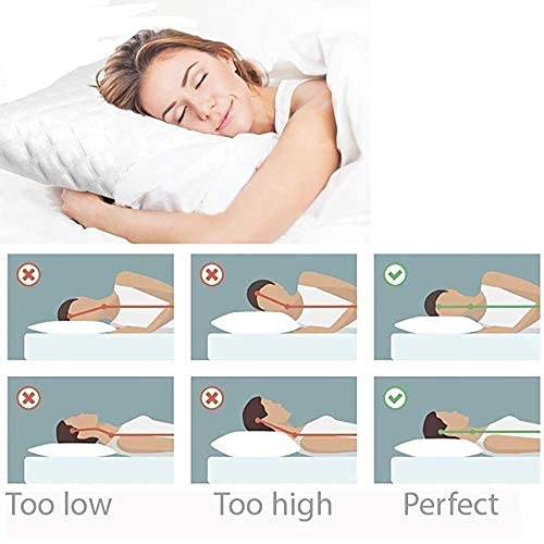 dr back pillow