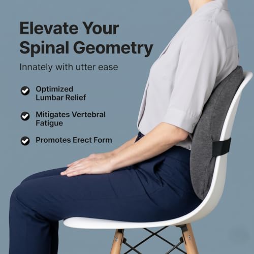 Image of JAMES STOKES Lumbar Support Pillow for Office Chair & Car Seat, Memory Foam Back Cushion with Adjustable Strap for Lower Back Pain Relief, Posture Support Backrest for Home, Office, Driving, Grey