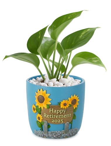 Afigurna plant pot with sunflowers image