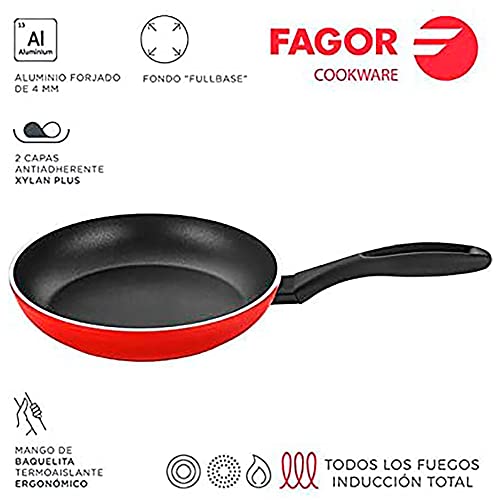 Opiniones y reviews de Plancha cocina fagor de esta semana. 27 Imagen adicional