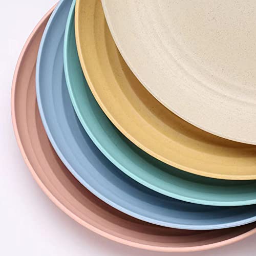 Ruibolu 9 Inch Large Cereal Plates 6 Pieces,Plastic Plates, Unbreakable And Reusable Light Weight Dinner Plates Pasta,Camping Plates, Dinner Plates, And Dumpling Bowl Microwave Safe Bpa Free #TOP3