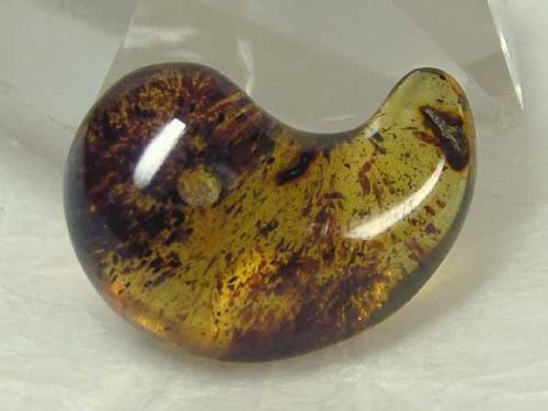 珍品、旧蔵、琥珀朝珠一本 Amazon.co.jp: zmgmsmh 5個 アンバー化石 昆虫サンプルストーン