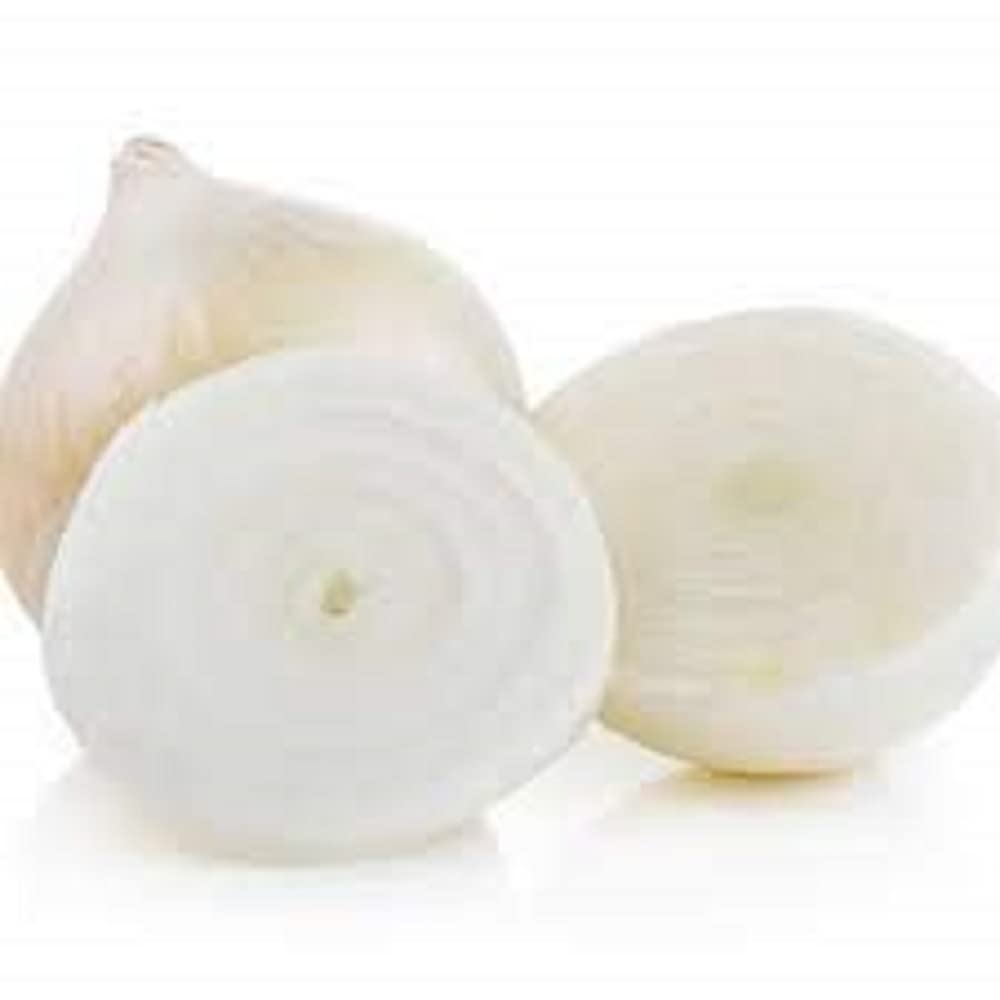 Onion Plants, 'White Bulb', 4 x Plug Plant Pack, Vegetable Plants, Onions, Grow Your Own, Garden Veg, Garden Ready and Ready to Plant, Premium Quality Vegetables